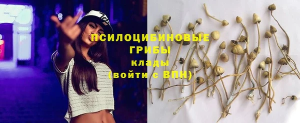 марки nbome Аркадак