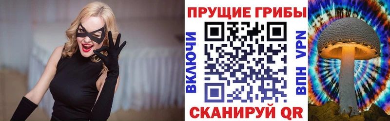 Галлюциногенные грибы Cubensis  магазин продажи наркотиков  Красный Кут 